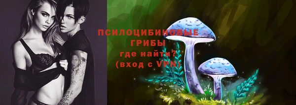 ПСИЛОЦИБИНОВЫЕ ГРИБЫ Горняк